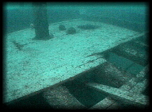 Lumberman Below Water
